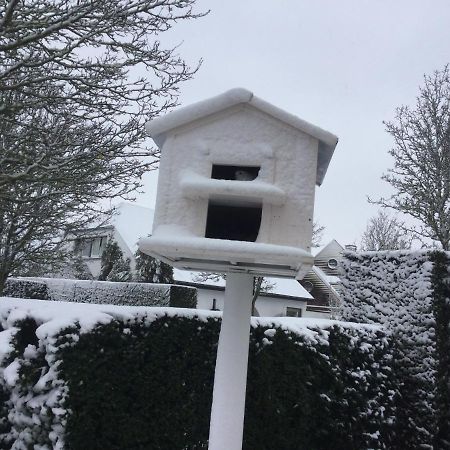 B&B Colombe Blanche Knokke-Heist Eksteriør billede